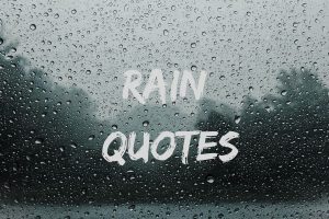 Rain Quotes