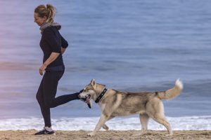 Physically Active Dog Breeds to Exercise Along With