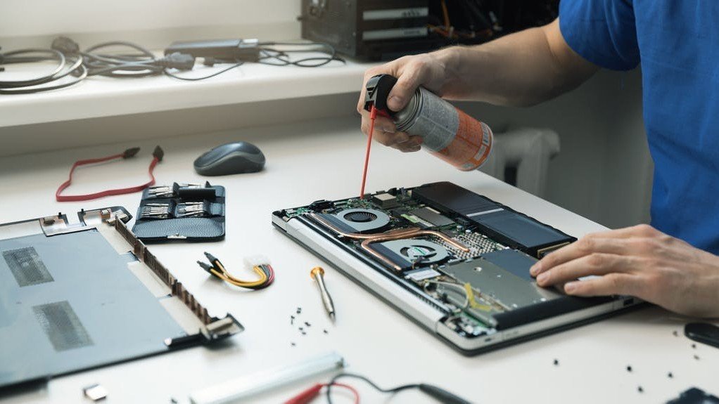 How to get Roaches out of Electronics Is an Easy way  Splashers