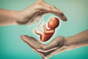 What Are Assisted Reproductive Technology