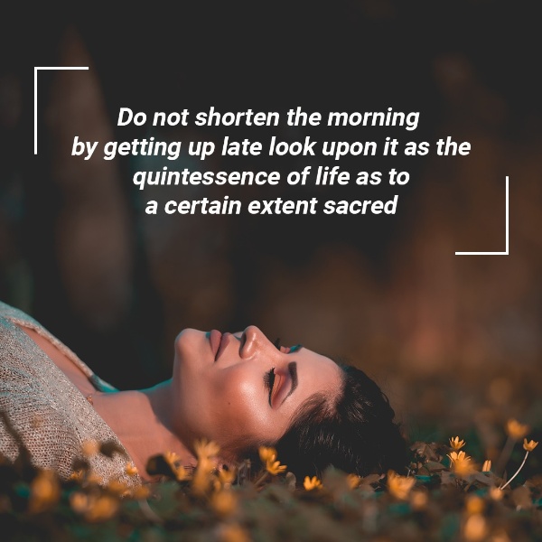 Good Quotes About Morning