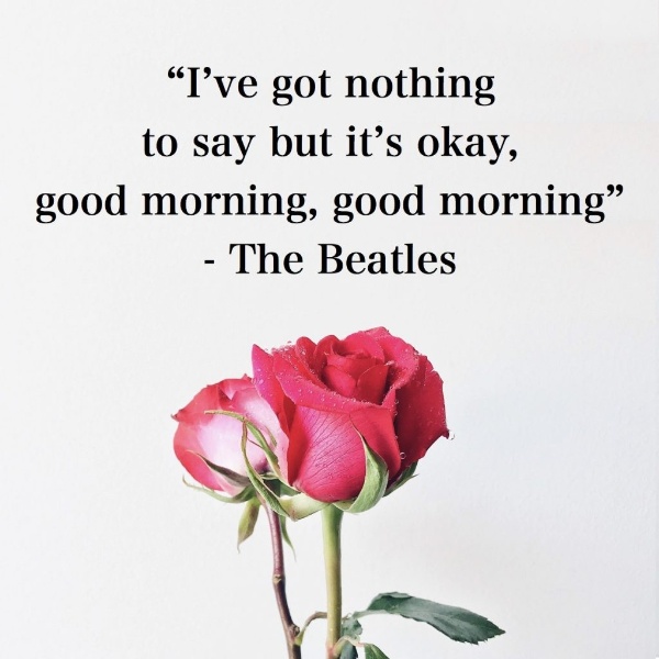 good quotes about morning