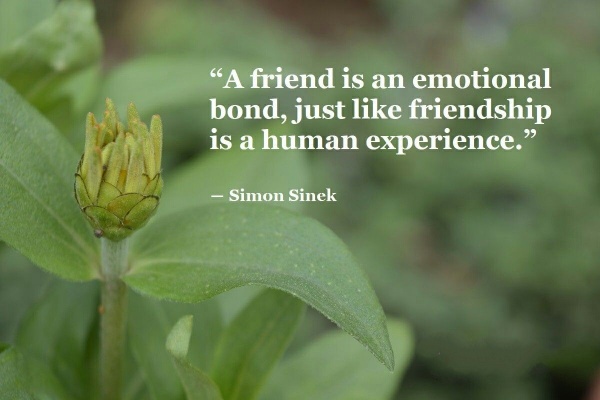“A friend is an emotional bond, just like friendship is a human experience.”
