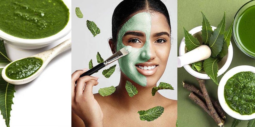 Neem Plant: Health and Beauty Benefits