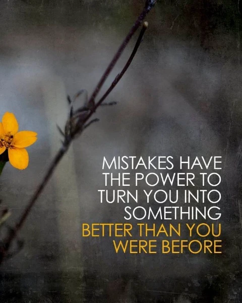Mistakes have the power to turn you into something better than you were before 