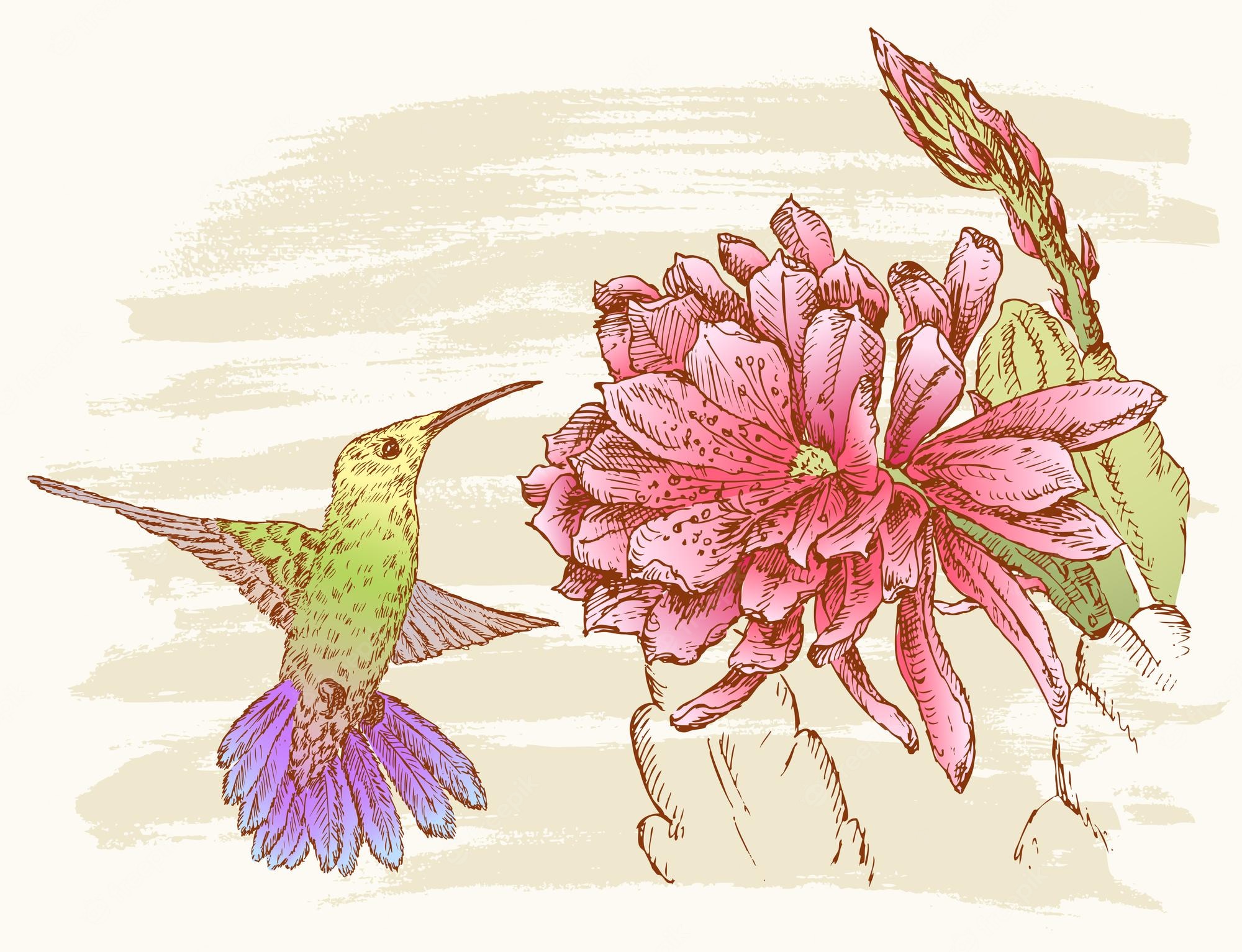 Tropical Hummingbird Painting