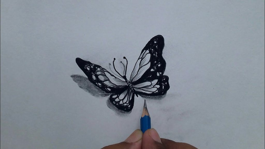 Delightful Butterfly Drawing Instructional Activity