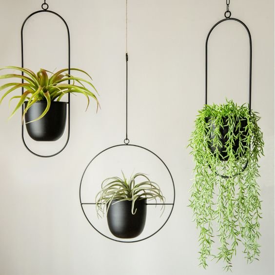 Hanging flower vases
