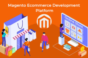 The Most Suitable eCommerce Development Platform by Specialist: Magento
