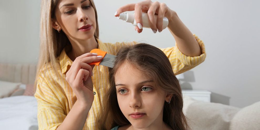 can't get rid of lice tried everything