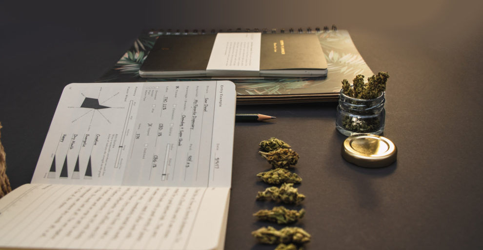 Top Tips for Writing a Cannabis Dispensary Business Plan