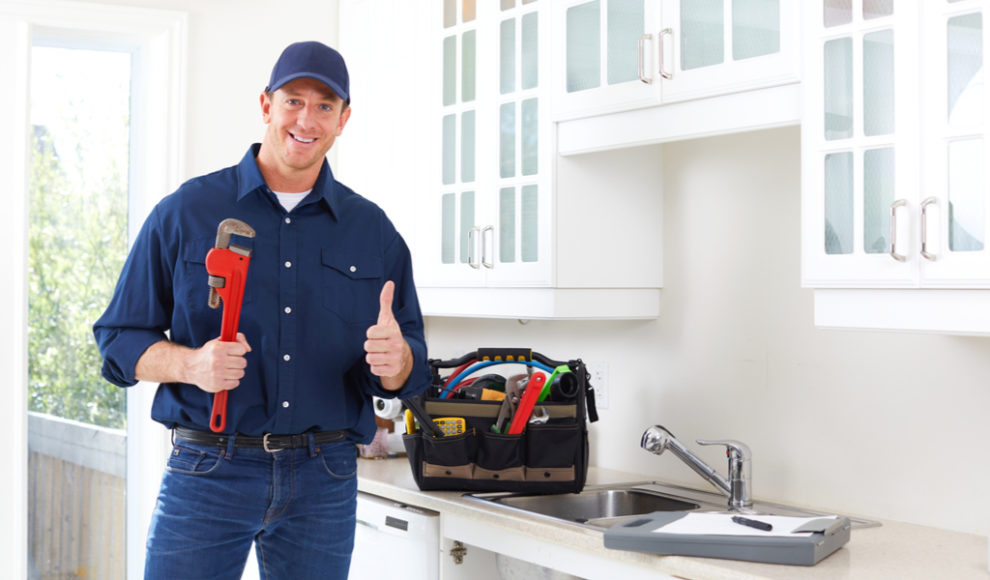 What is the Role of Professional Plumbers in Emergency Plumbing Situations?