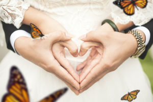 Monarch Butterfly Spiritual Meaning Love