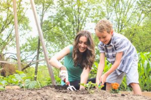 how to start a vegetable garden for beginners