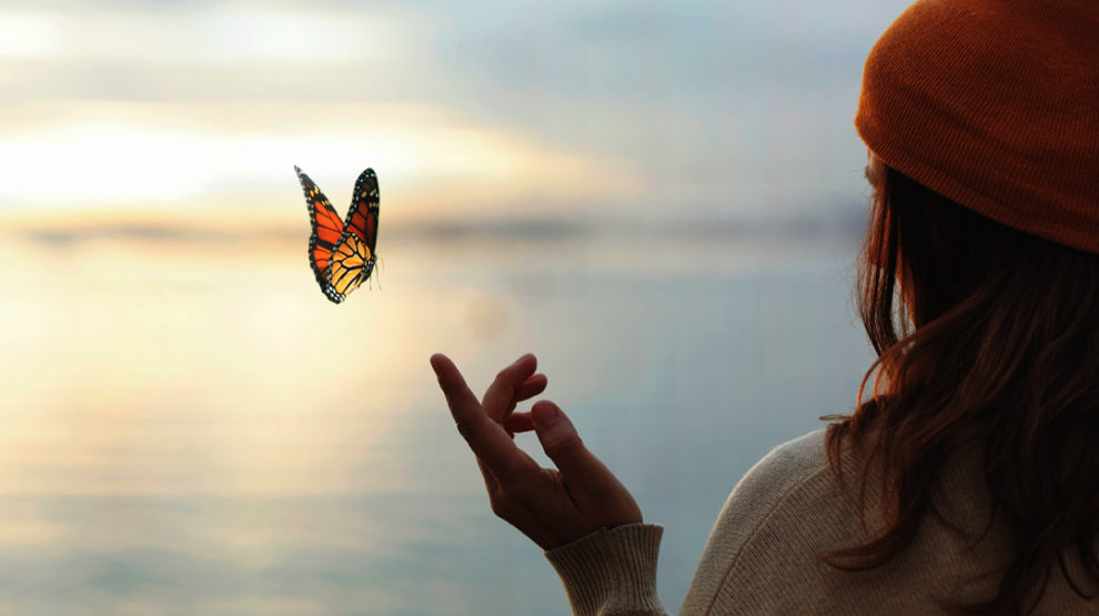 The Spiritual Meaning of Monarch Butterflies Flying Around You